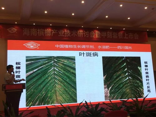 創(chuàng)新驅(qū)動，共贏未來——2018檳榔產(chǎn)業(yè)技術研討交流會紀實與展望